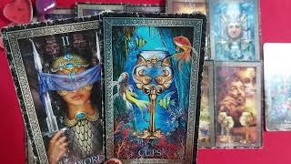 ¿Cómo se la va a pasar el 14 de febrero sin ti Tarot interactivo [upl. by Retsel]