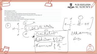 Science Important Question Class 10th  Previous Year Question  CBSE BOARD EXAMS 2024 [upl. by Sheryle]