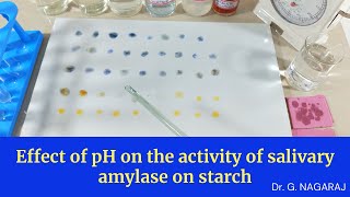 Effect of pH on the activity of salivary amylase on starch [upl. by Newcomer]