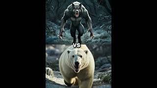 Werewolf vs Polar Bear vs White Animals Lion Tiger Wolf blackpanther king kong Yeti hyena [upl. by Derr]