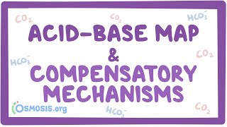 Acidbase map and compensatory mechanisms [upl. by Harias]