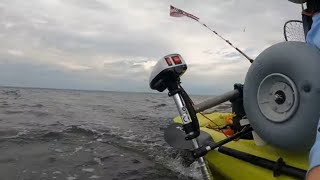 Trolling motor on compass kayak Watersnake T24 side mount on the water reviewtests  SEA BASS [upl. by Nennarb673]