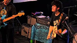 JSYL Forests Live Full Show 4K in Austin Texas at Mohawks 102824 [upl. by Eenet]