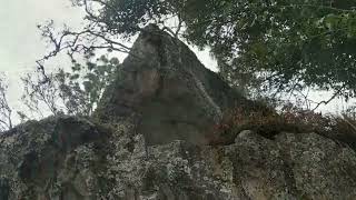 Lama Drukpa Kuenley Holy water in Phangyul [upl. by Callan]