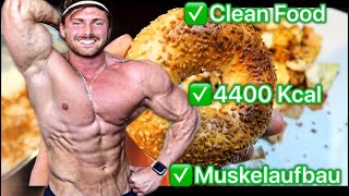 Muskelaufbau  4400 Kcal Full Day of Eating amp Ernährungsplan kostenlos  Clean Food [upl. by Eirehs]