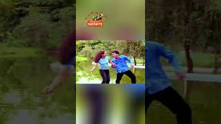 AANKH LARELA  MAYA  BAGANIYA VIDEO SONG nkproduction assam zubeengarg [upl. by Rodama573]