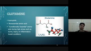 Glutamate and Glutamine Metabolism in a glance [upl. by Youngran340]