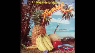 LO MEJOR DE LA MUSICA TROPICAL DEL AÑO 1988 TE ACUERDAS DE ESTAS [upl. by Ayoted105]