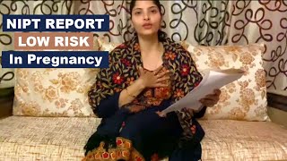 NIPT Test Report Low Risk अब आगे क्या करे  NIPT test for pregnancy Low Risk means [upl. by Iramohs]