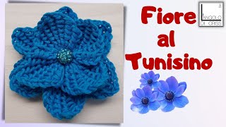 FIORE FACILISSIMO  UNCINETTO TUNISINO TUTORIAL IN DIRETTA [upl. by Normy]