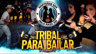 Tribal Para Bailar Edicion 2021  Pala Raza Vip [upl. by Storer809]