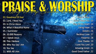 Best Praise and Worship Songs 2024  Special Hillsong Worship Songs Playlist 2024  Goodness Of God [upl. by Bullard]