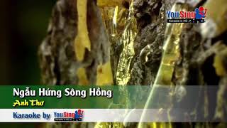 Ngẫu hứng sông hồng  beat tone Nam [upl. by Ahsinid]