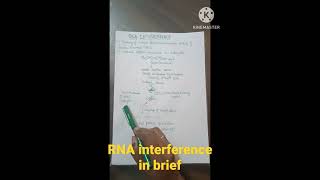 RNA interference in brief [upl. by Russi]