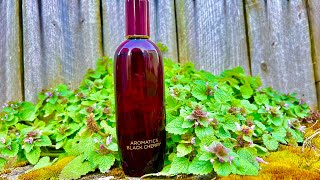 Aromatics Black Cherry by Clinique 2016  Late Night Blind Buy  Discontinued Fragrance [upl. by Filbert]