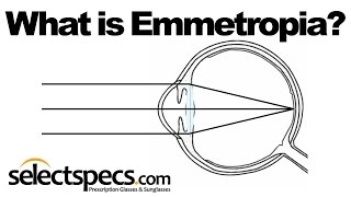 What is Emmetropia  With SelectSpecscom [upl. by Orren]