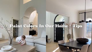 Interior Paint Colors  Tips for the Modern Minimalist [upl. by Anaira]