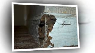 Damp Proofing Services  Home Cure [upl. by Eedrahs]