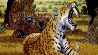 Machairodontinae  The SaberToothed Cats [upl. by Annauqahs32]