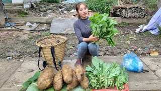 FULL VIDEO 165 DAYS harvest yams green vegetables to bring to the market to sell  chuc thi Duong [upl. by Jessie725]