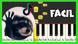 Pedro Pedro Pedro  Meme Tik Tok  TUTORIAL DE PIANO FÁCIL [upl. by Bloem598]