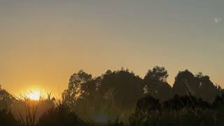 Mawson Lakes Sunrise [upl. by Firmin]