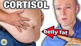 10 Warning Signs Your CORTISOL Is Way Too High [upl. by Demott115]