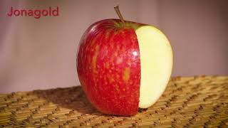 New England JONAGOLD apple [upl. by Weaks]