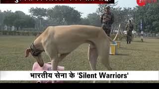 First Time Ever Indian breed dogs become part of Indian Army [upl. by Leasa255]