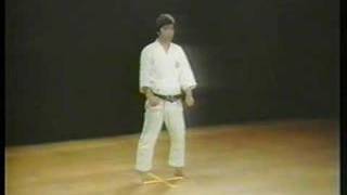 Bassai Sho  Shotokan Karate [upl. by Rehpinej]