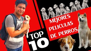 Top 10 Mejores Películas De Perros [upl. by Rickie736]