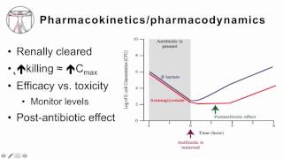 4 Aminoglycosides [upl. by Inttirb846]