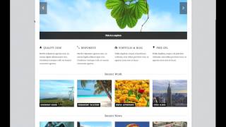 Adapt WordPress Theme Guide [upl. by Napra156]