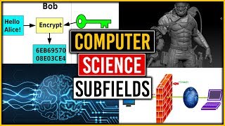 Computer Science Careers and Subfields [upl. by Milla652]