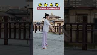 Taichi for beginners qigong taichi kungfu [upl. by Assenev733]