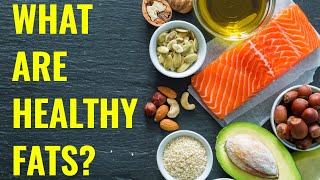 What Are Healthy Fats  Explained By Dr Balduzzi [upl. by Maggie]