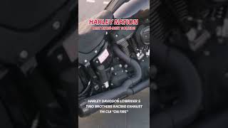 Harley Davidson Lowrider S with Two Brothers Racing Exhaust [upl. by Airrotal]