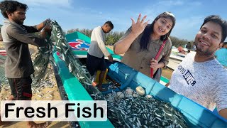 Fresh Fish Batticaloa  Sri Lanka Sea Food  Tamil Vlogs  Rj Chandru amp Menaka [upl. by Kcirdnek]