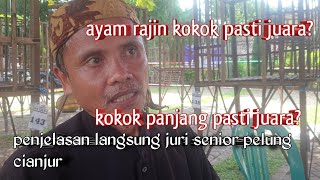 penjelasan dan penilaian ayam pelung layak juara langsung dari ahlinya [upl. by Imar435]