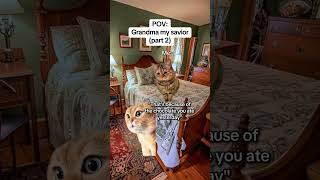 CAT MEMES 🐱Grandma my savior part 2 catmemes relatable relationship [upl. by Susanetta920]