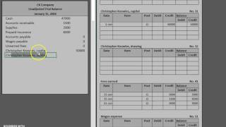 Unadjusted Trial Balance [upl. by Fionna324]