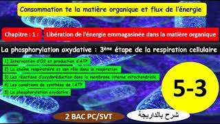 La phosphorylation oxydative 3ème étape de la respiration la chaîne respiratoire 2bacشرح بالداريجة [upl. by Asuncion42]