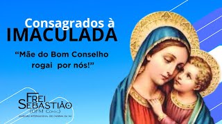 quotMãe do Bom Conselho rogai por nósquot  Frei Sebastião Benito Quaglio [upl. by Eellah537]