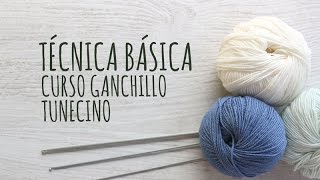 Curso Ganchillo Tunecino  Técnica Básica [upl. by Edwina]