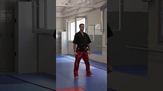 Nunchaku Training 🔥 martialarts short [upl. by Anoy]