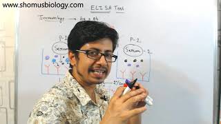 ELISA test procedure  what is elisa assay [upl. by Atiras]