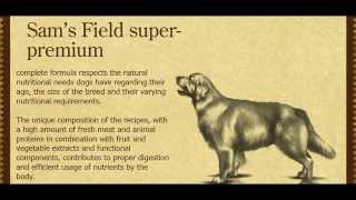 ROYAL CANIN VS SAMS FIELD  WHICH ONE IS BETTER [upl. by Ytsim]