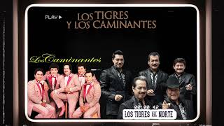 Los Tigres y Los Caminantes Mix Rancheras 2 Hora [upl. by Oznofla]