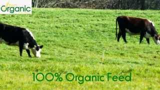 Organic Milk vs Regular Milk [upl. by Clifford]