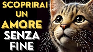 QUEL GATTO CAMBIERA LA TUA VITA PER SEMPRE [upl. by Kulsrud]